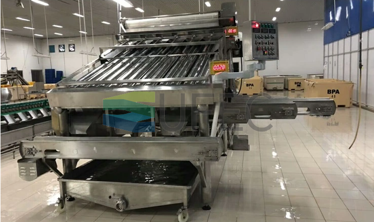 Машина для сортировки креветок большой емкости Высокоточная сортировочная машина для креветок для обработки морепродуктов