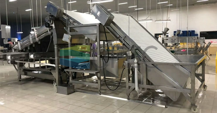 Машина для сортировки креветок большой емкости Высокоточная сортировочная машина для креветок для обработки морепродуктов